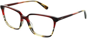 Walter & Herbert Rossetti glasses in Crimson Flame