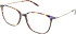 X-Eyes Lite X-Eyes Lite 08 glasses in Purple Tort