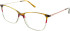 X-Eyes Lite X-Eyes Lite 04 glasses in Brown