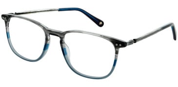 Walter & Herbert Darwin glasses in Arctic Storm
