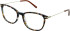 Cameo Poppy glasses in Brown Multi