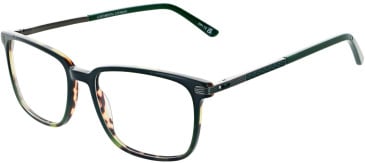 Cameo Lewis glasses in Olive