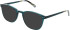 Cameo Charlie sunglasses in Conifer