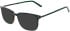 Cameo Lewis sunglasses in Olive