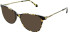 L.K. Bennett L.K.Bennett 73 sunglasses in Leopard Havana