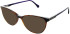 L.K. Bennett L.K.Bennett 77 sunglasses in Tort