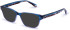 Walter & Herbert Du Maurier sunglasses in Blue