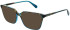Walter & Herbert Rossetti sunglasses in Grey Smoke