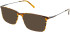 X-Eyes Lite X-Eyes Lite 12 sunglasses in Brown Stripe