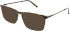 X-Eyes Lite X-Eyes Lite 15 sunglasses in Tort