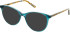 Cameo Jodie sunglasses in Teal