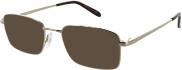 Puriti Puriti 19 sunglasses in Gold