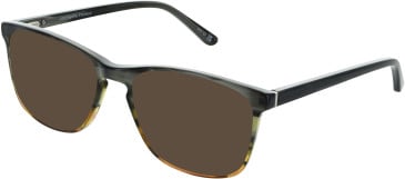 Zenith Zenith 100 sunglasses in Brown