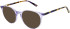 Zenith Zenith 101 sunglasses in Purple