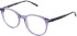 Lazer Kids Lazer Junior 2204 kids glasses in Purple
