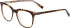 Bogner 1011 glasses in Brown