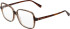 Bogner 1020 glasses in Brown