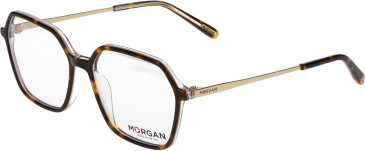 Morgan 2030 glasses in Brown