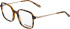 Morgan 2031 glasses in Brown