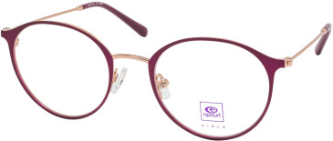 RIP CURL GOM011 glasses in Red