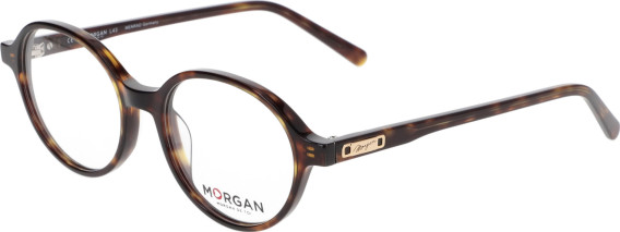 Morgan 1153 glasses in Brown
