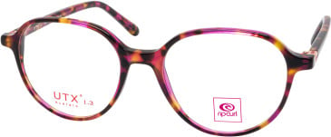 RIP CURL FOU067 glasses in Pink