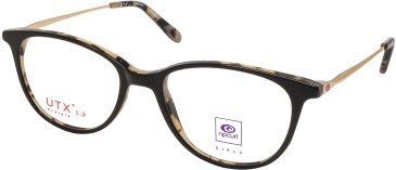 RIP CURL GOU023 glasses in Black