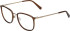 Bogner 2015 glasses in Brown