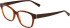 Bogner 1022 glasses in Brown