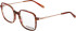 Morgan 2031 glasses in Red Brown