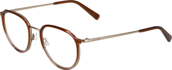 Bogner 2017 glasses in Brown