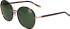 JOOP! 7402 sunglasses in Tortoiseshell