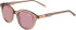 Morgan 7233 sunglasses in Brown