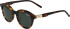 Morgan 7233 sunglasses in Tortoiseshell