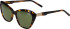 Morgan 7235 sunglasses in Brown