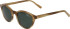 Morgan 7240 sunglasses in Light Brown