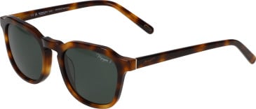 Morgan 7244 sunglasses in Tortoiseshell