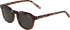 Morgan 7244 sunglasses in Tortoiseshell Blue