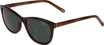 Morgan 7246 sunglasses in Brown