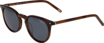 Morgan 7247 sunglasses in Brown
