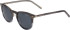 Morgan 7247 sunglasses in Grey