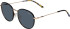 Morgan 7359 sunglasses in Black/Gold