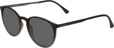 Jaguar 7613 sunglasses in Dark Brown
