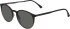Jaguar 7613 sunglasses in Dark Brown