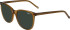 JOOP! 7102 sunglasses in Brown