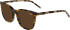 JOOP! 7102 sunglasses in Tortoiseshell