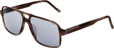 JOOP! 7247 sunglasses in Brown