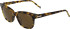 JOOP! 7262 sunglasses in Tortoiseshell
