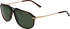 Jaguar 7258 sunglasses in Brown