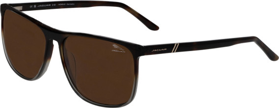 Jaguar 7122 sunglasses in Dark Brown